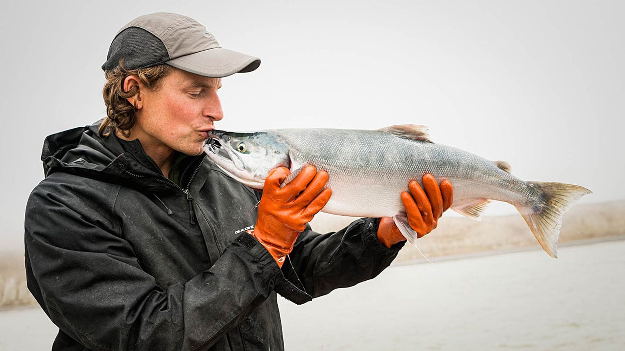 loving sockeye salmon