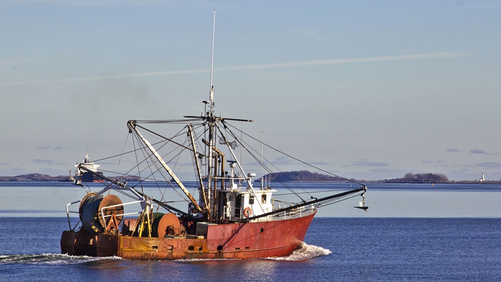 traceability-legit-fish-boston