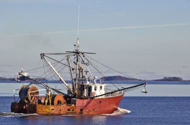 traceability-legit-fish-boston