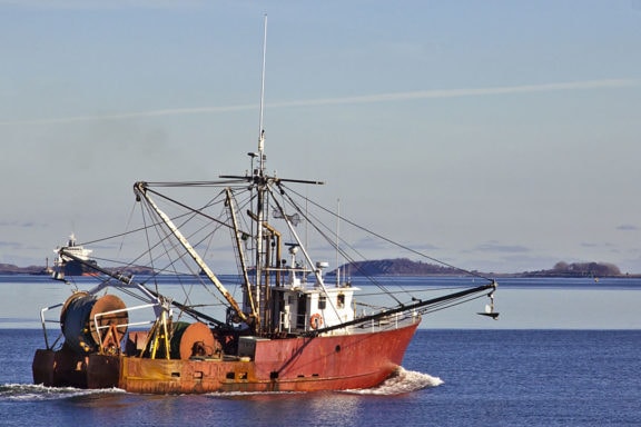 traceability-legit-fish-boston