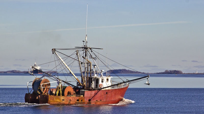 traceability-legit-fish-boston