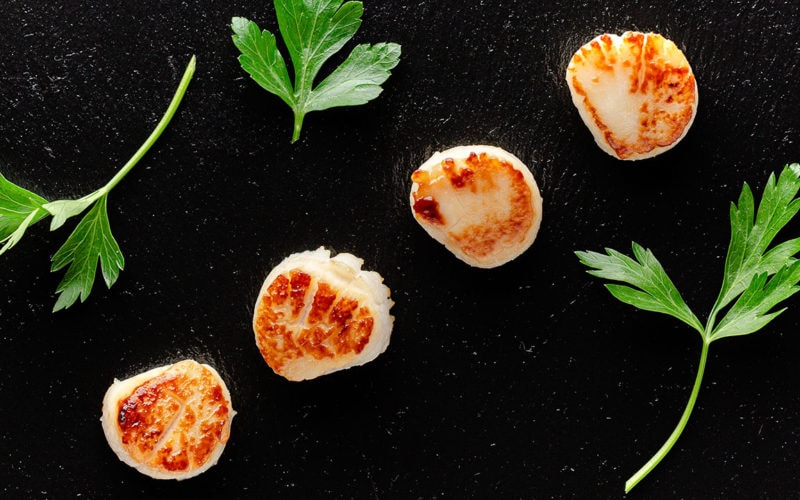 scallops