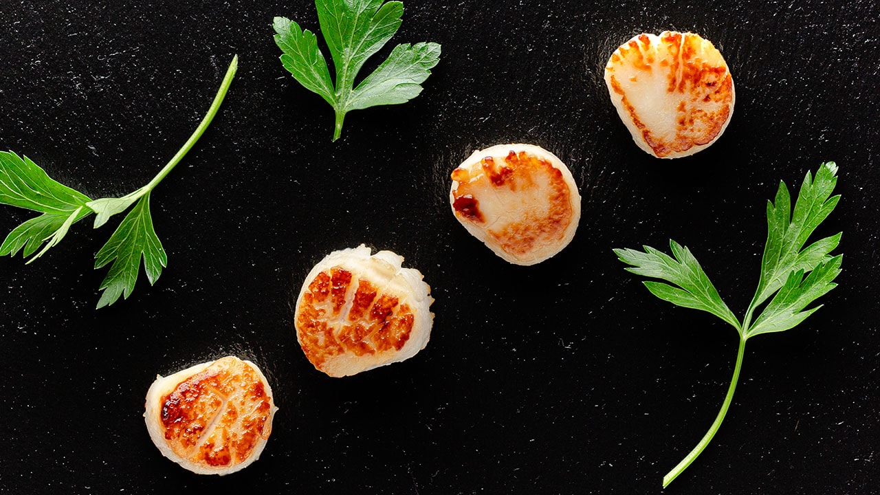 scallops