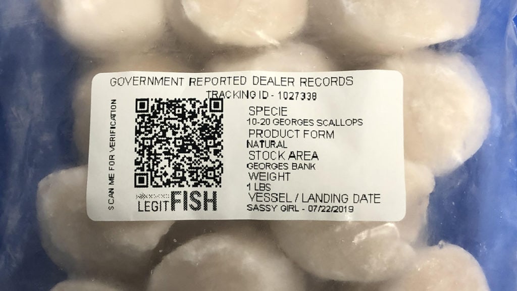 sustainable-scallops