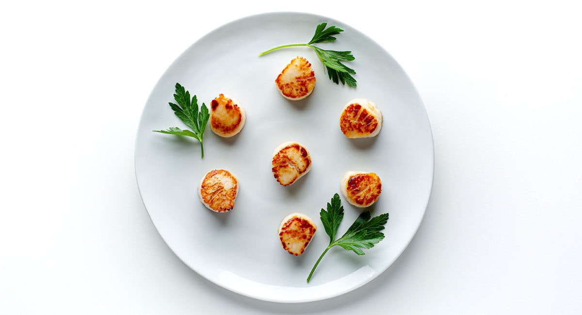 simple seared scallops on a plate