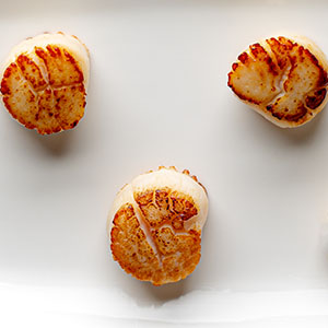 seared-scallops