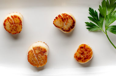 seared-scallops