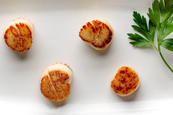 seared-scallops