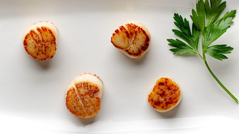 seared-scallops