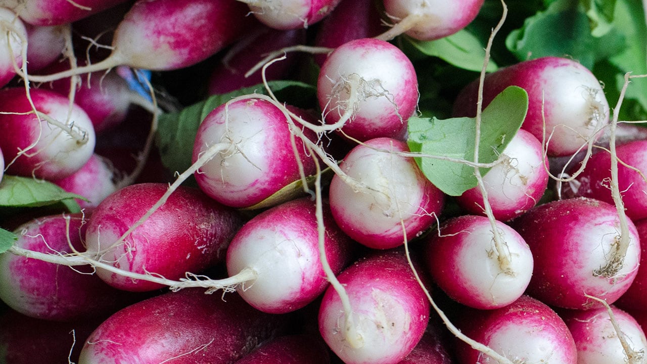 radishes