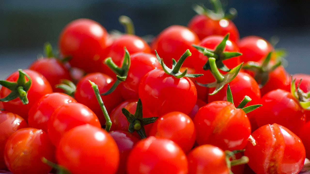 cherry tomatoes