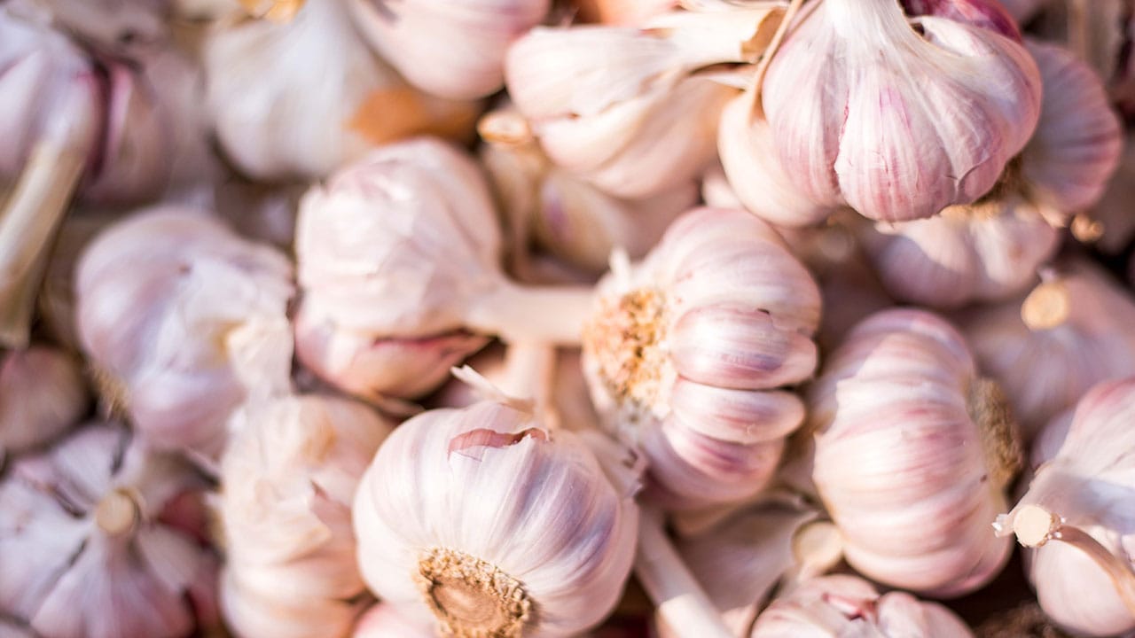 garlic