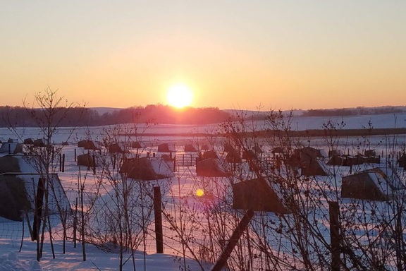 farmer butcherbox sunset gadient farms