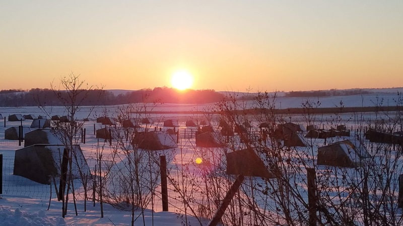 farmer butcherbox sunset gadient farms