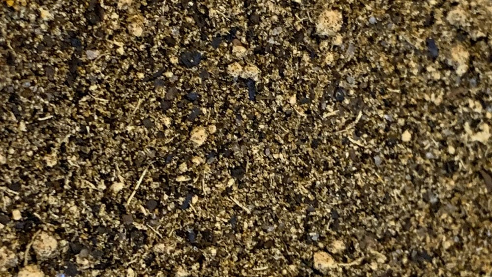 black lime ginger dry rub