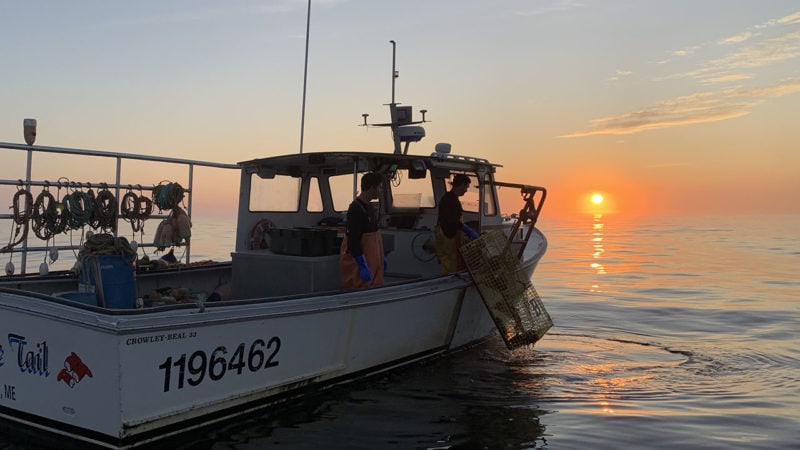 lobstering at sunrise in Maine