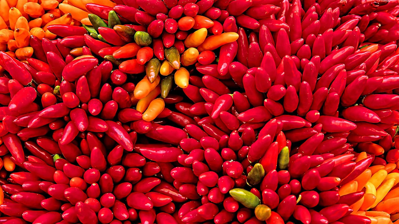 hot chili peppers