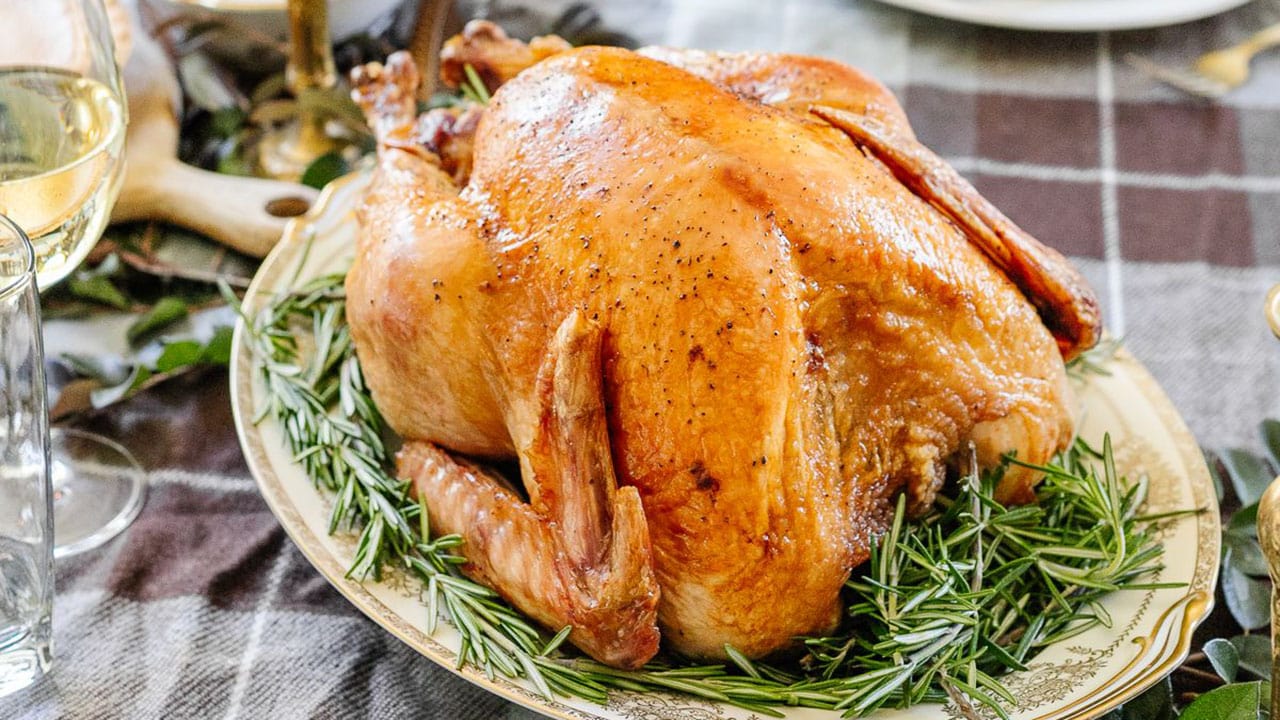 thanksgiving turkey