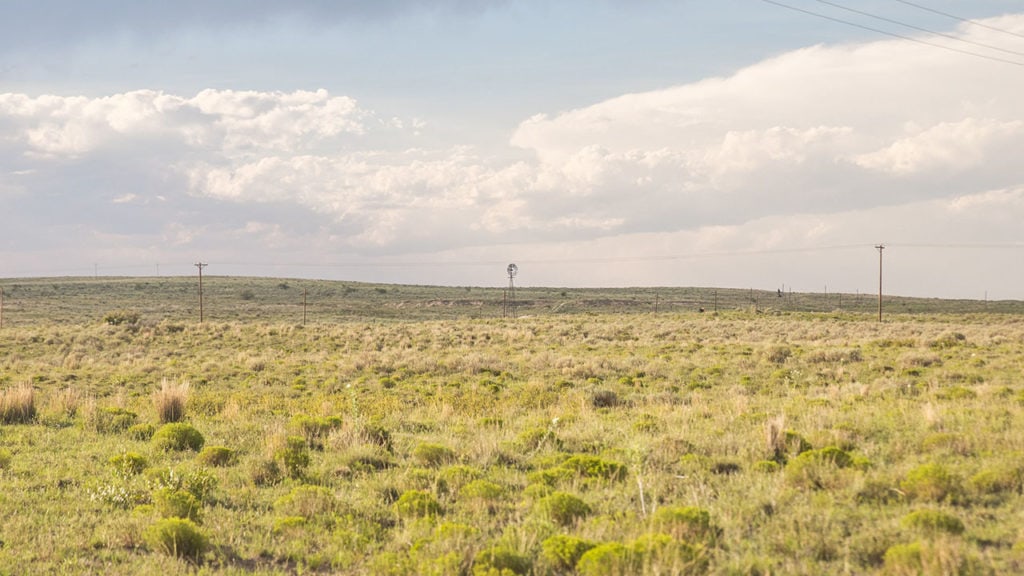 texas fields