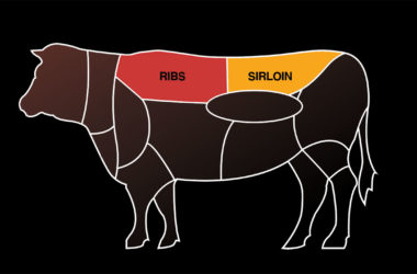 beef cuts chart with ribs and sirloin highlighted