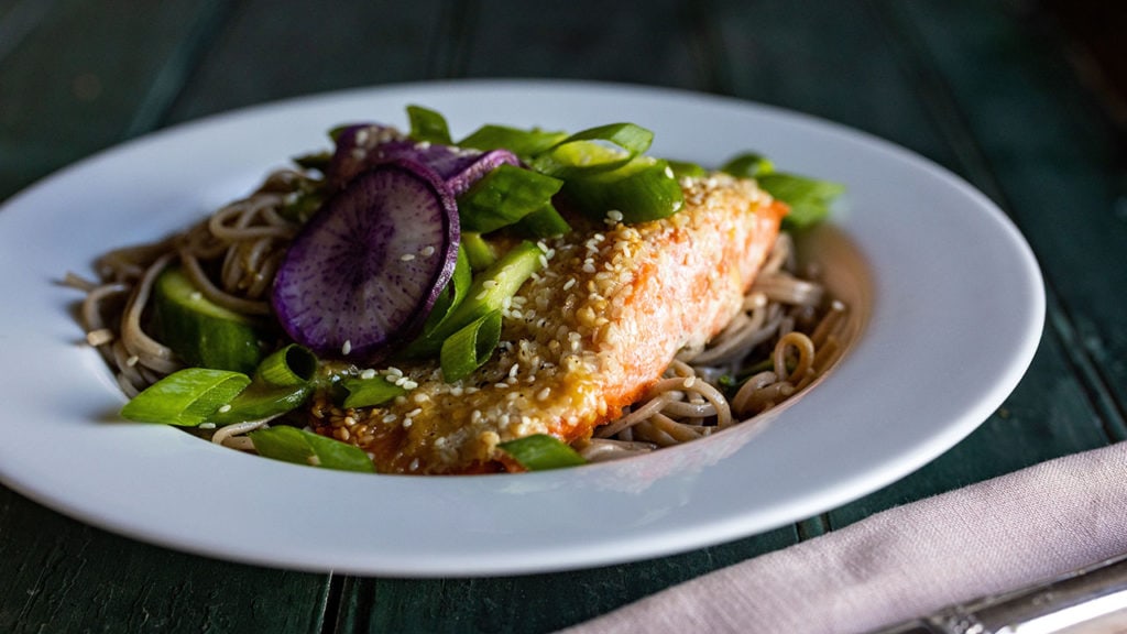 sesame salmon plated