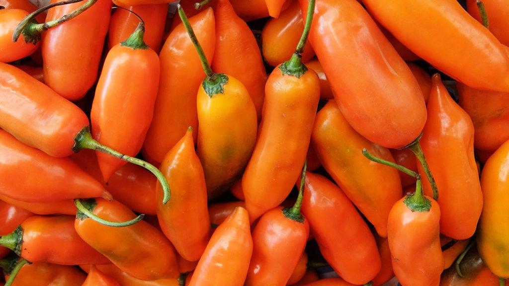 aji amarillo