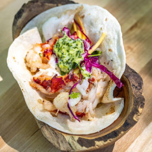 lobster taco and mango slaw on tortilla