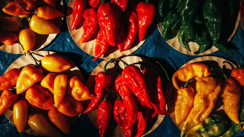various peppers of different flavors