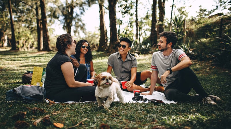 A group of people and a dog having a picnic in the park