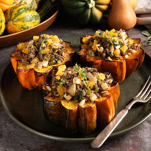 bison stuffed squash