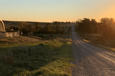 farm next to a long road with a hog shelter on it