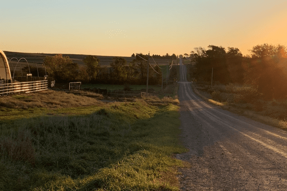 farm next to a long road with a hog shelter on it