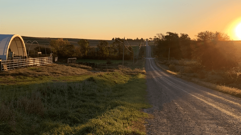 farm next to a long road with a hog shelter on it