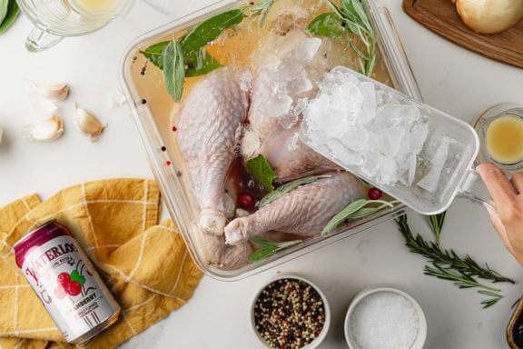 cranberry seltzer turkey brine recipe