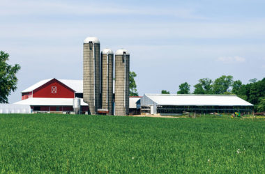 a chicken and turkey farm
