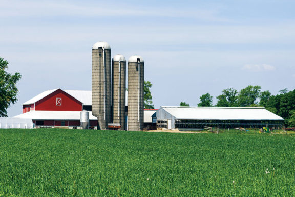 a chicken and turkey farm
