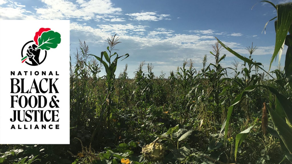 supporting black farmers