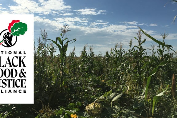 supporting black farmers