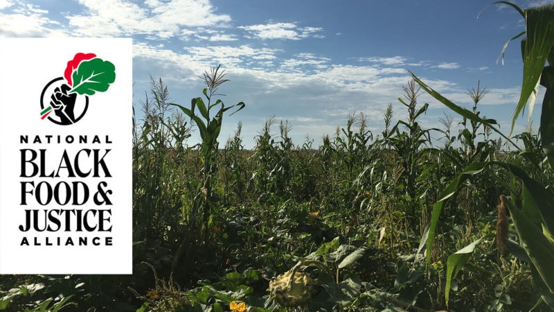 supporting black farmers