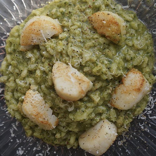 scallops with kale rissoto