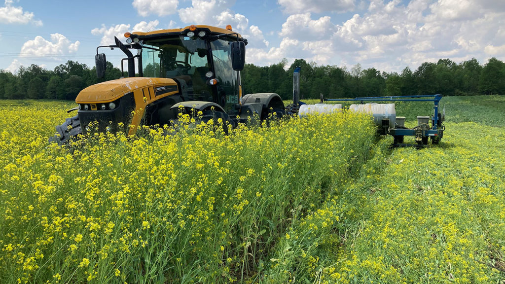 cover crop planting with a tractor