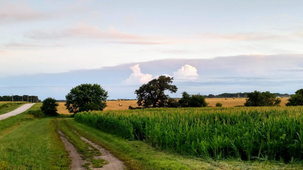 jovaag family farm regenerative agriculture