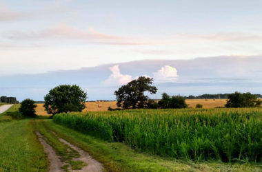 jovaag family farm regenerative agriculture