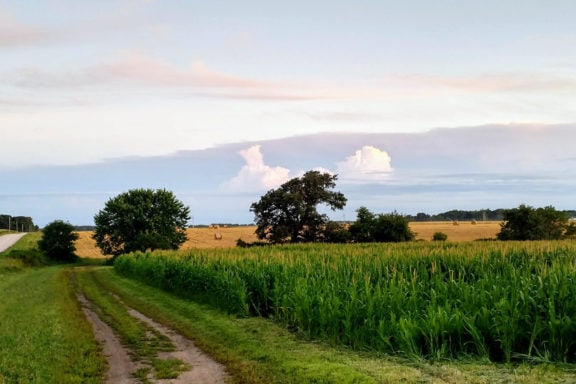 jovaag family farm regenerative agriculture